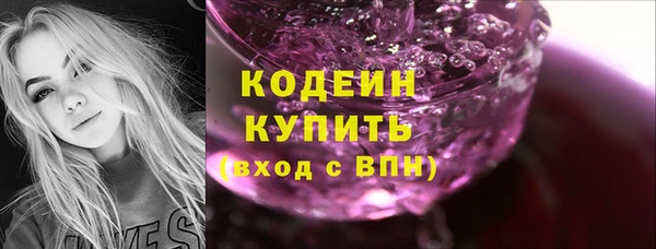 гашик Пересвет