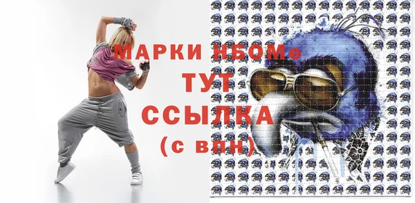 гашик Пересвет