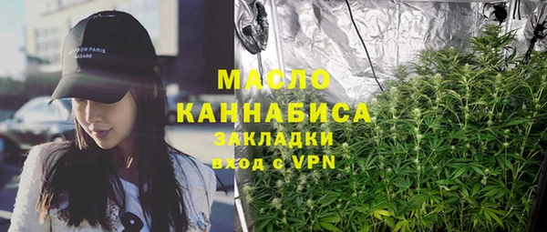 гашик Пересвет
