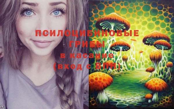 гашик Пересвет