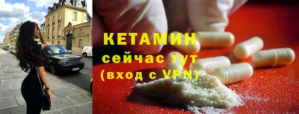 гашик Пересвет