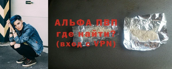 гашик Пересвет