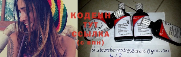 гашик Пересвет